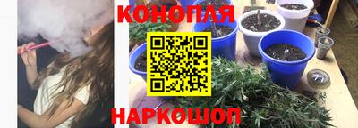 прущие крисы Ипатово