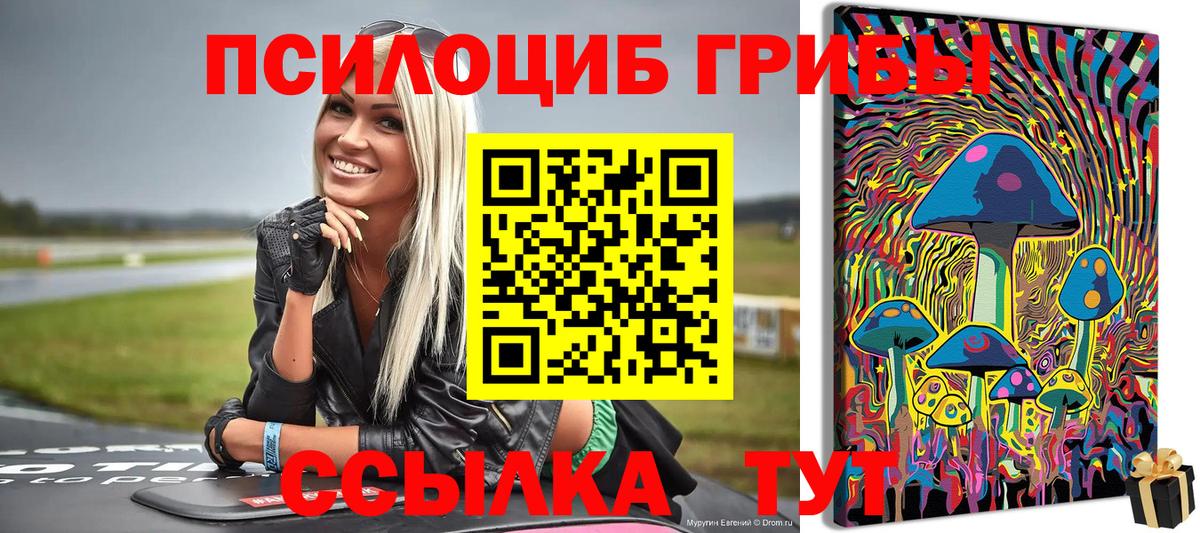 Гудермес  Псилоцибиновые грибы прущие грибы  Вход с VPN 